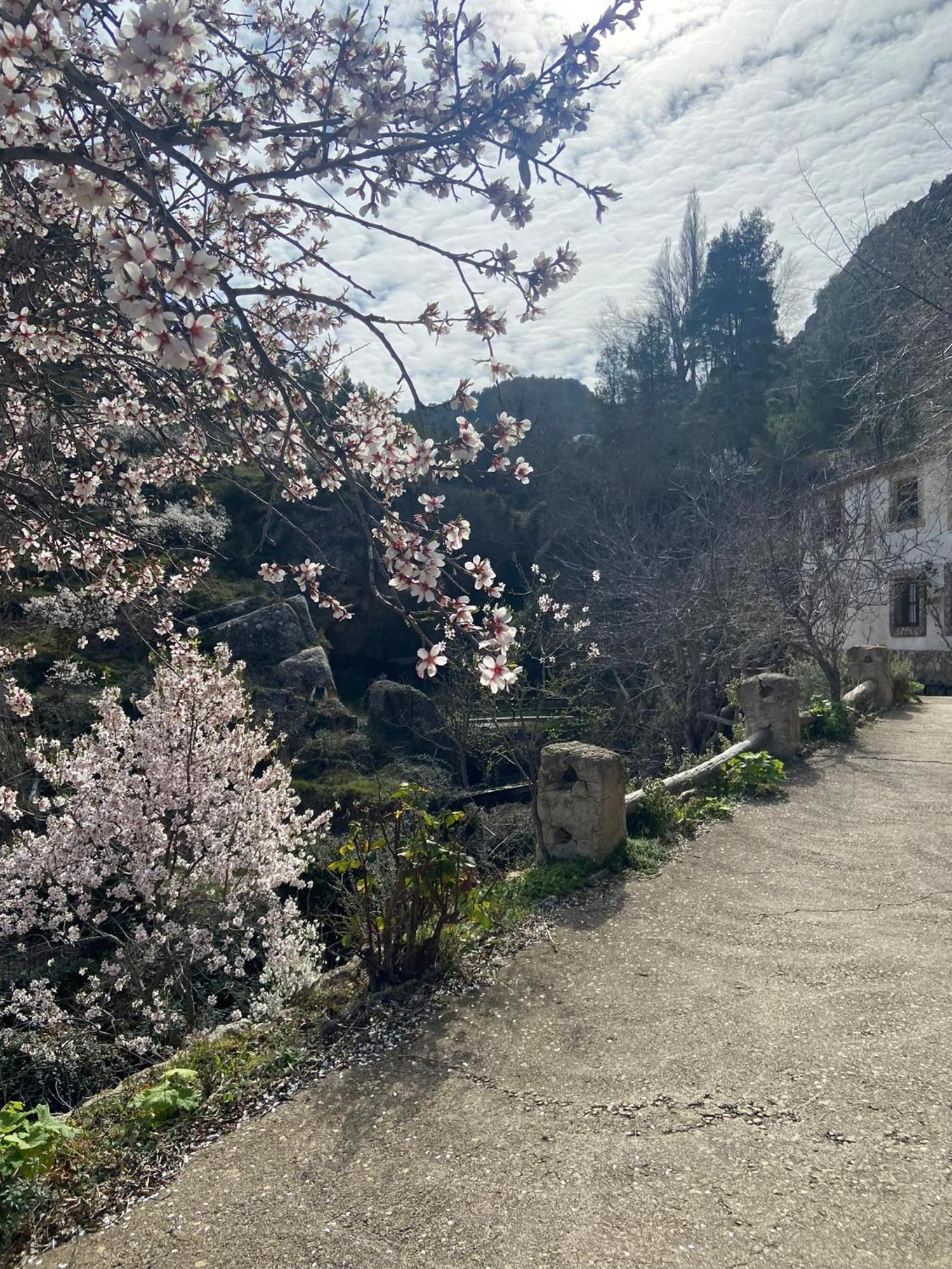 Alojamientos La Tercia Benizar 외부 사진